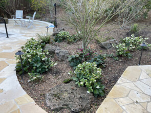 Extension (side view)