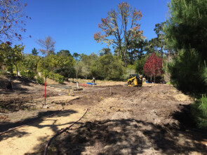 Terraputt Garden (in progress)